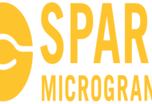 2 Job Positions at Spark MicroGrants : Deadline: Deadline: 10-05-2026