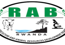 Value Chain and Climate – Smart Agriculture Technical Advisor at RAB: Deadline: May 27, 2026