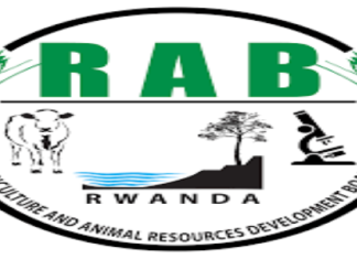 Value Chain and Climate – Smart Agriculture Technical Advisor at RAB: Deadline: May 27, 2026