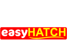 Sales Officer at easyHATCH | Musanze: Deadline: 29-06-2026