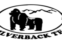 2 Jobs (Factory Teamaker and Chief Factory Electrician at GISOVU TEA COMPANY LIMITED | Karongi : Deadline: 30-04-2026