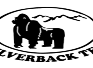 2 Jobs (Factory Teamaker and Chief Factory Electrician at GISOVU TEA COMPANY LIMITED | Karongi : Deadline: 30-04-2026