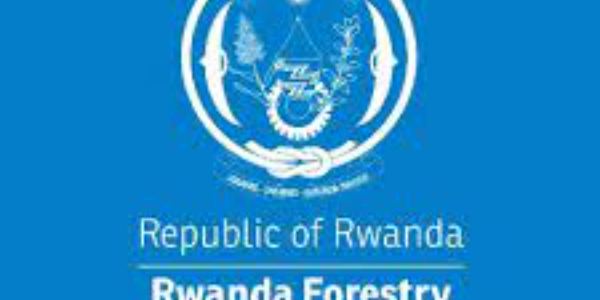 Director of Tree Seed Unit at Rwanda Forestry Authority (RFA) Under ...