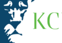 Digital Support Specialist at KCB: Deadline :April 24th, 2026