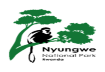 11 Positions of Security Guards at Nyungwe Management Company Ltd (NMC Ltd): Deadline: 29/10/2026
