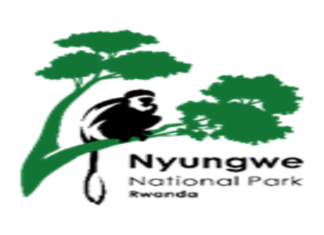 11 Positions of Security Guards at Nyungwe Management Company Ltd (NMC Ltd): Deadline: 29/10/2026