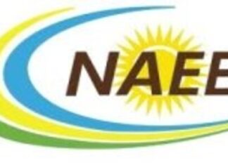 Budget Officer at The National Agricultural Export Development Board (NAEB) | Kigali:Deadline: 01-07-2026