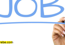 VETERINARY DOCTOR AT GOODMAN INTERNATIONAL (R) LTD: Deadline:4/01/ 2026 (Remainder)