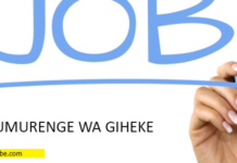 58 Jobs of Economics Development officer at Gakenke District :Deadline: Oct 22, 2026