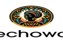 Développeur Front-End at Echowa Ltd | Kigali :Deadline: 12-06-2026