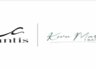 Bartender at Mantis Kivu Marina Bay Hotel | Rusizi :Deadline: 10-07-2026