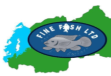 IMYANYA 4 Y`UBUKONTABURE (Accountant) muri Fine Fish Ltd: Deadline:27/05/2026