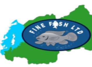 IMYANYA 4 Y`UBUKONTABURE (Accountant) muri Fine Fish Ltd: Deadline:27/05/2026