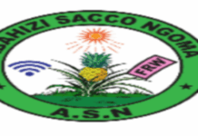 IMYANYA 5 Y`AKAZI MURI ABAHIZI SACCO NGOMA (ASN) | Ngoma : Deadline: 14-06-2026