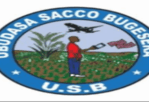 5 JOB POSITIONS AT Ubudasa Sacco Bugesera : Deadline: 01-07-2026