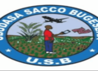 5 JOB POSITIONS AT Ubudasa Sacco Bugesera : Deadline: 01-07-2026