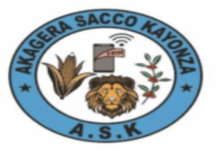 Senior Risk and Compliance Officer at AKAGERA SACCO KAYONZA: Deadline: 24-07-2026