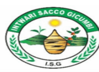 IT Officer Software & software at INTWARI SACCO GICUMBI (ISG) :Deadline: 23-07-2026