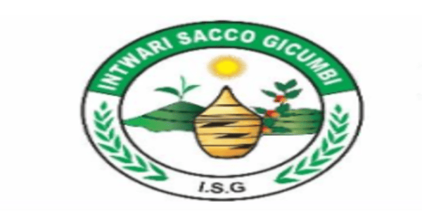 ISG (1)