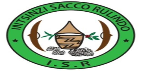 Insinzi