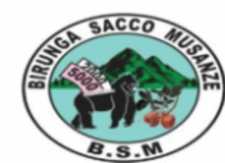 4 Teller at BIRUNGA SACCO MUSANZE (BSM) | Musanze: Deadline: 04-08-2026