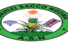 3 Job positions at ABAHIZI SACCO NGOMA (ASN) | Ngoma : Deadline: 28-10-2026