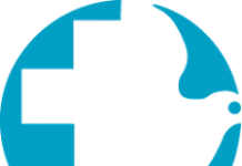 Co-Area Director for Southern, Central Africa & Nigeria at Mennonite Central Committee (MCC):Closing date: 6 Nov 2026