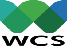 Regional Human Rights Specialist at WCS: Closing date: 30 Oct 2026