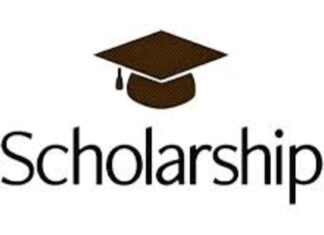 2027 fully funded Swedish Institute (SI) Master’s Scholarship: Deadline: February 24, 2027